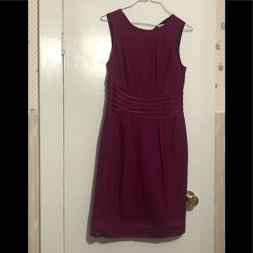 Banana Republic Fuchsia Dress
